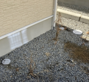 2025.11.3 N様邸 現 (26)